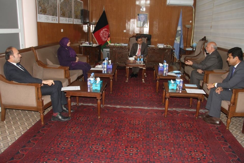 meeting